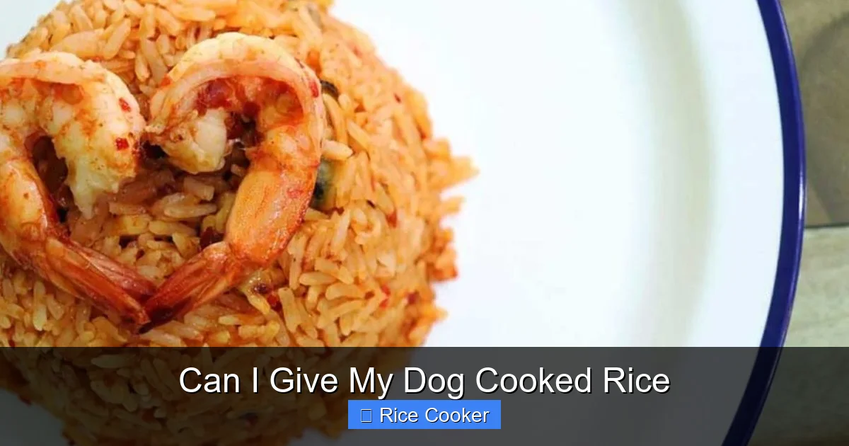 Can I Give My Dog Cooked Rice