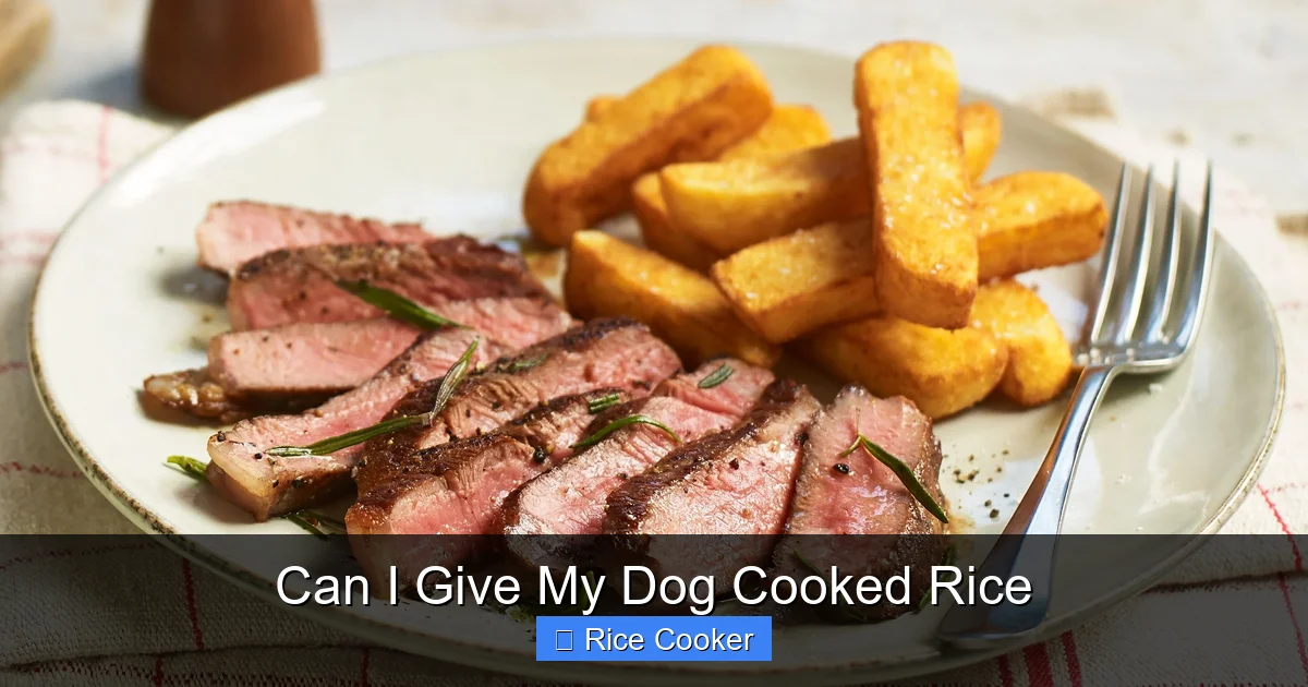 Can I Give My Dog Cooked Rice