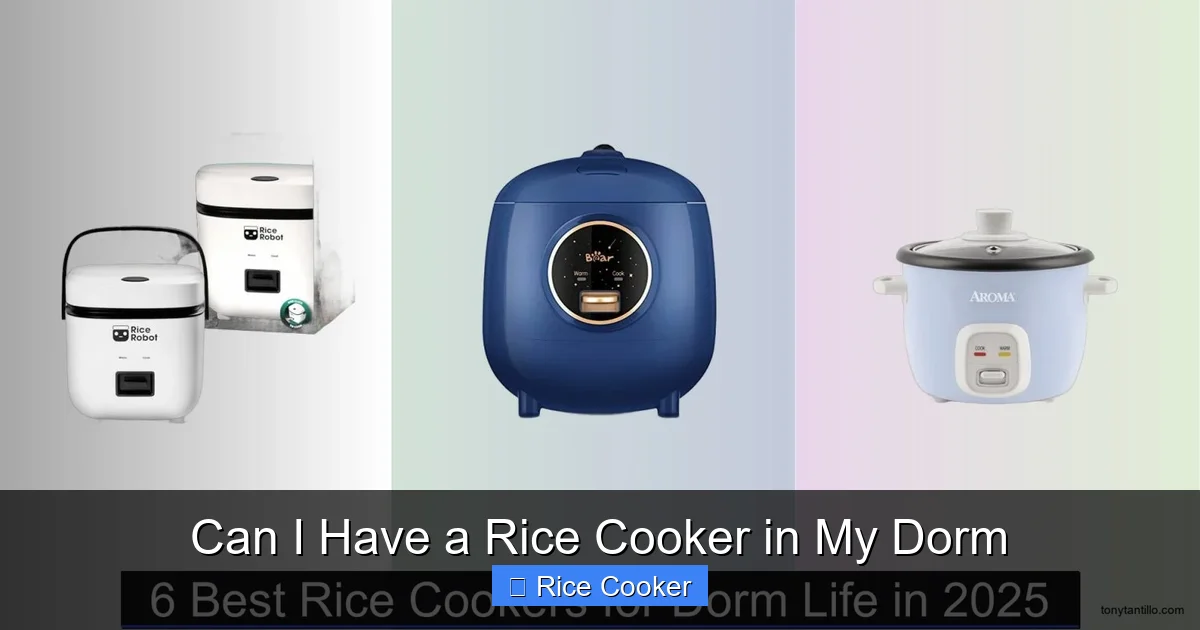 Can I Have a Rice Cooker in My Dorm