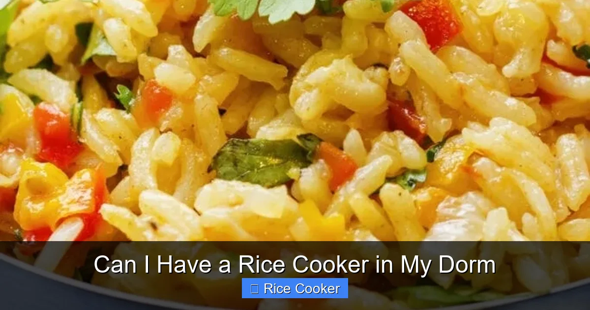 Can I Have a Rice Cooker in My Dorm