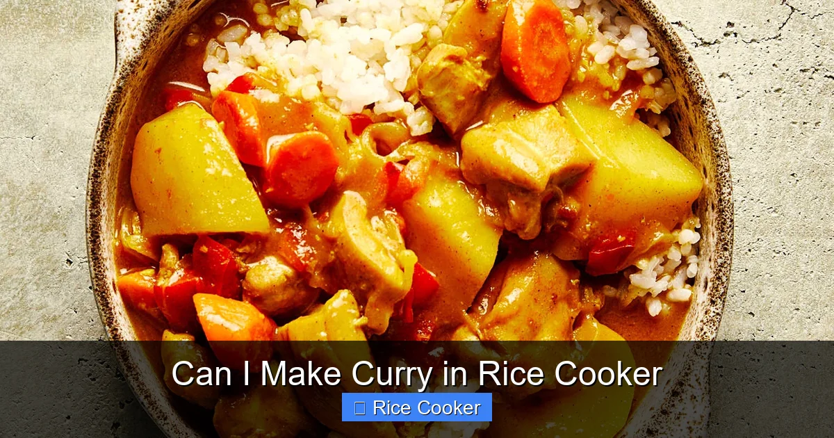 Can I Make Curry in Rice Cooker