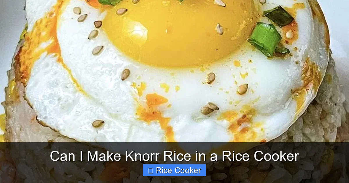 Can I Make Knorr Rice in a Rice Cooker