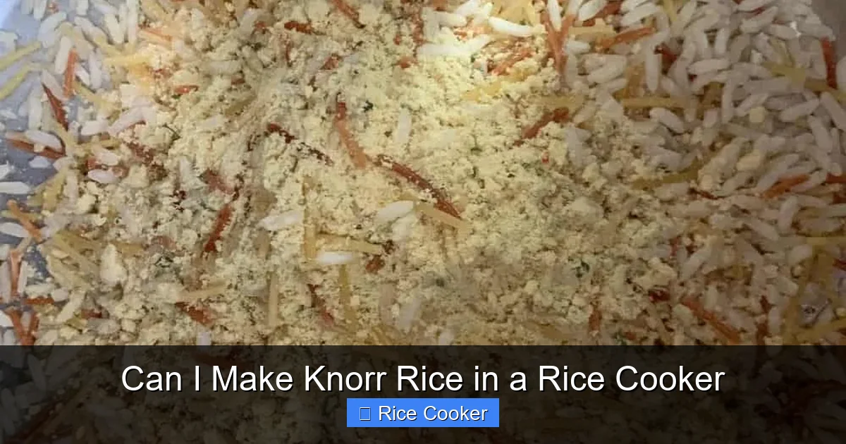 Can I Make Knorr Rice in a Rice Cooker