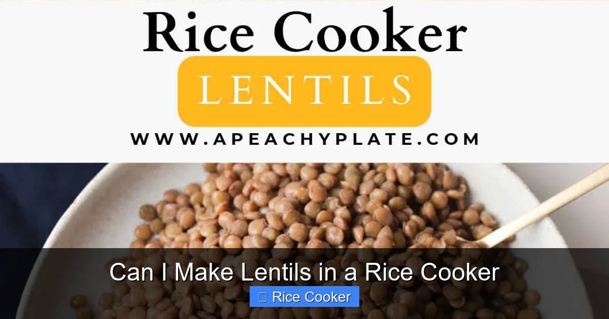 Can I Make Lentils in a Rice Cooker
