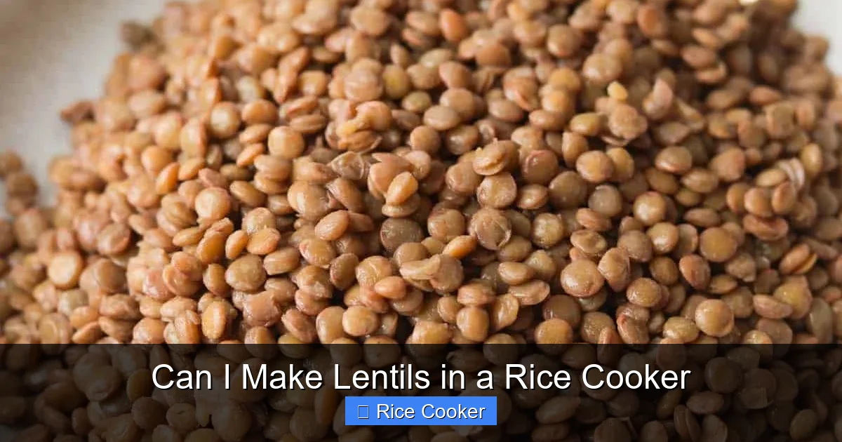 Can I Make Lentils in a Rice Cooker