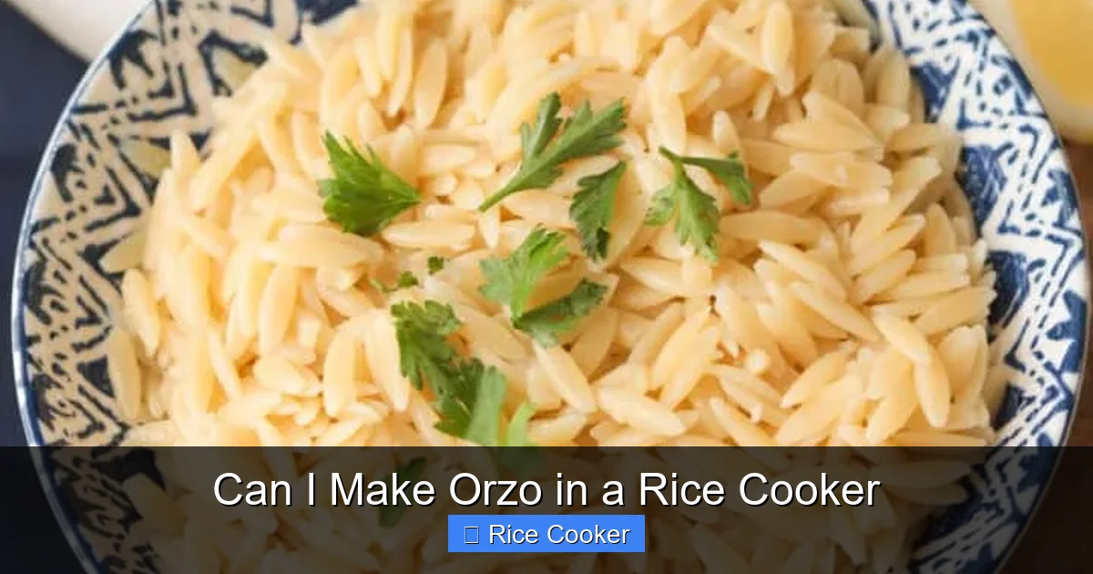 Can I Make Orzo in a Rice Cooker