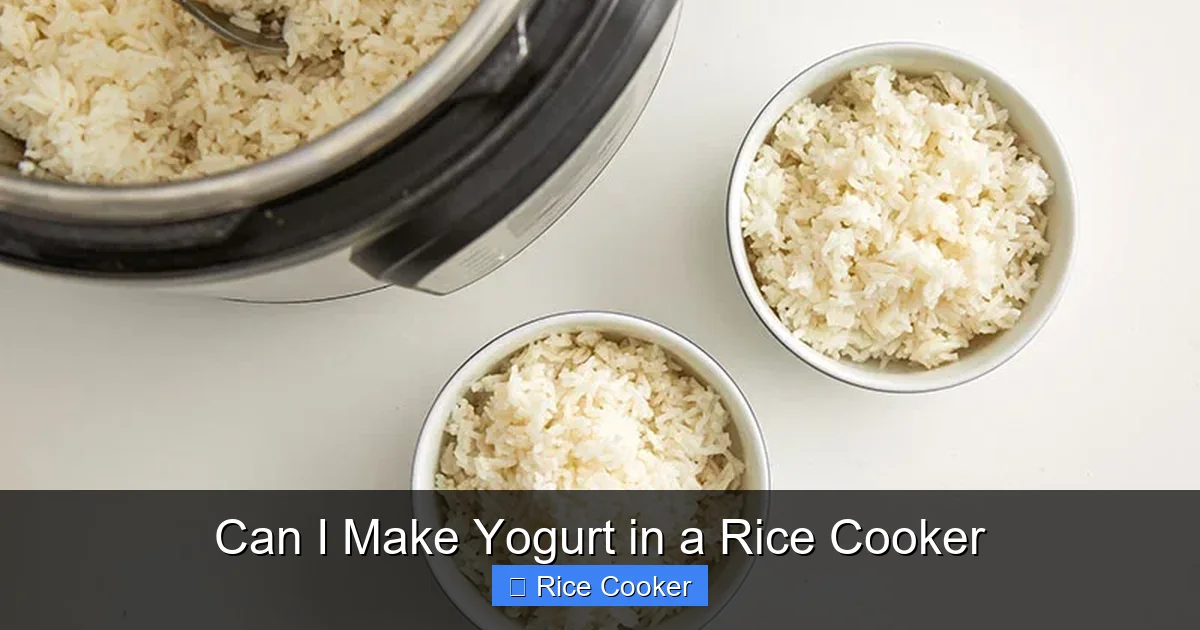 Can I Make Yogurt in a Rice Cooker