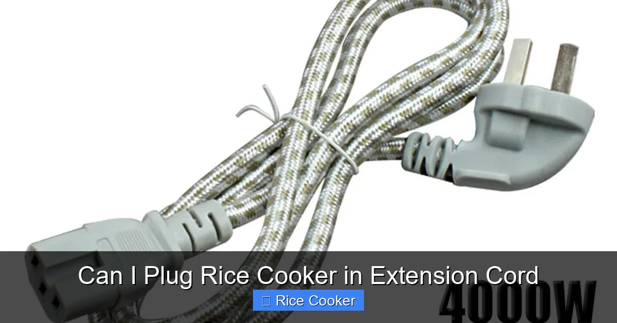 Can I Plug Rice Cooker in Extension Cord