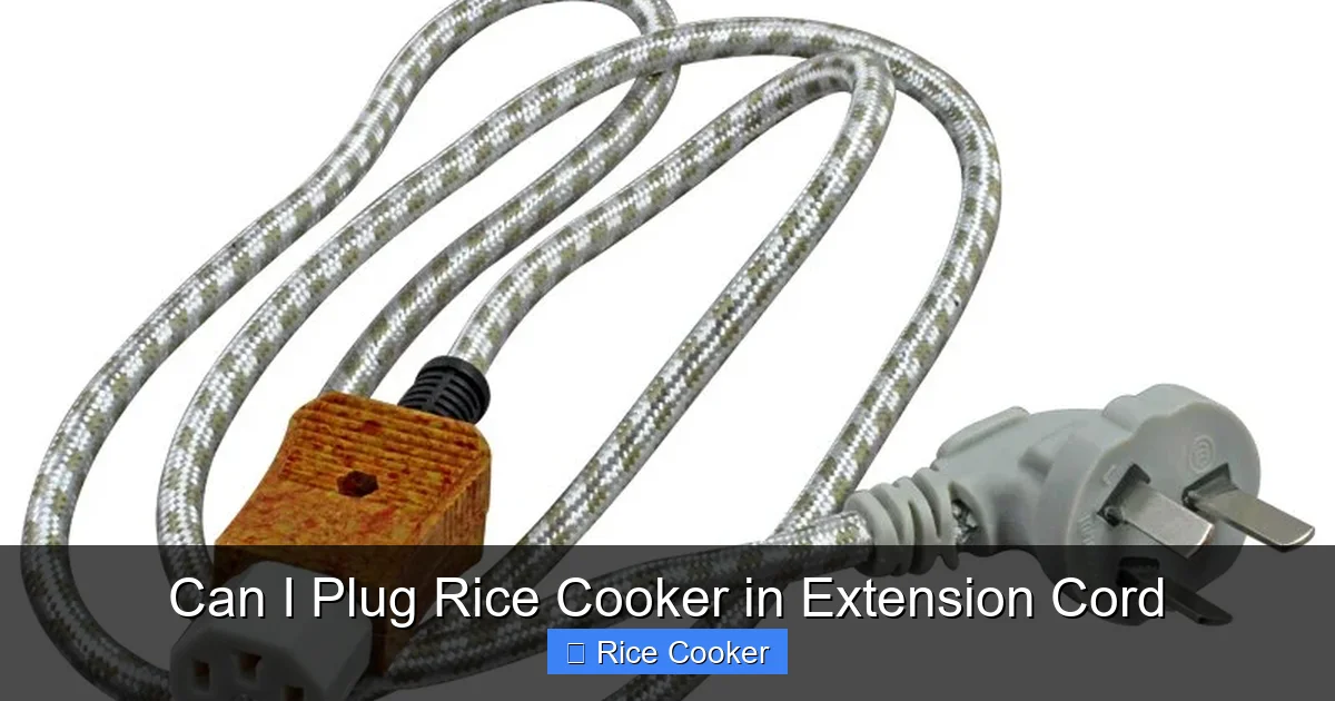 Can I Plug Rice Cooker in Extension Cord