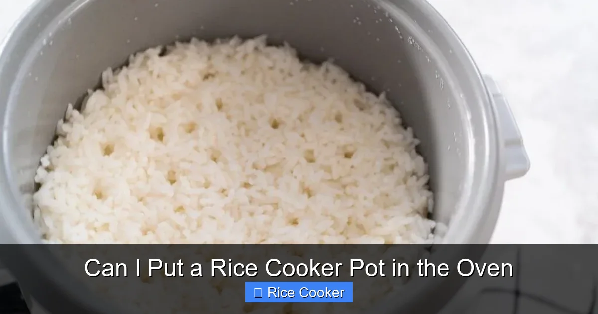 Can I Put a Rice Cooker Pot in the Oven