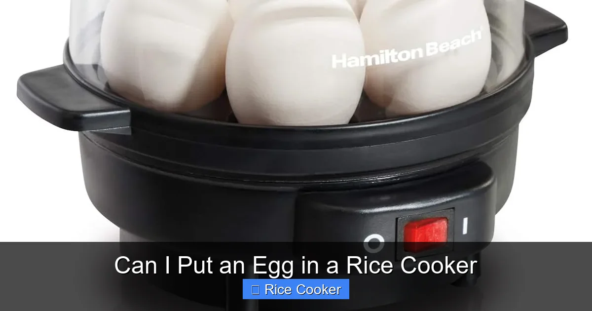 Can I Put an Egg in a Rice Cooker