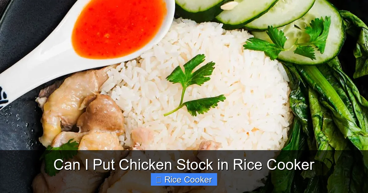 Can I Put Chicken Stock in Rice Cooker
