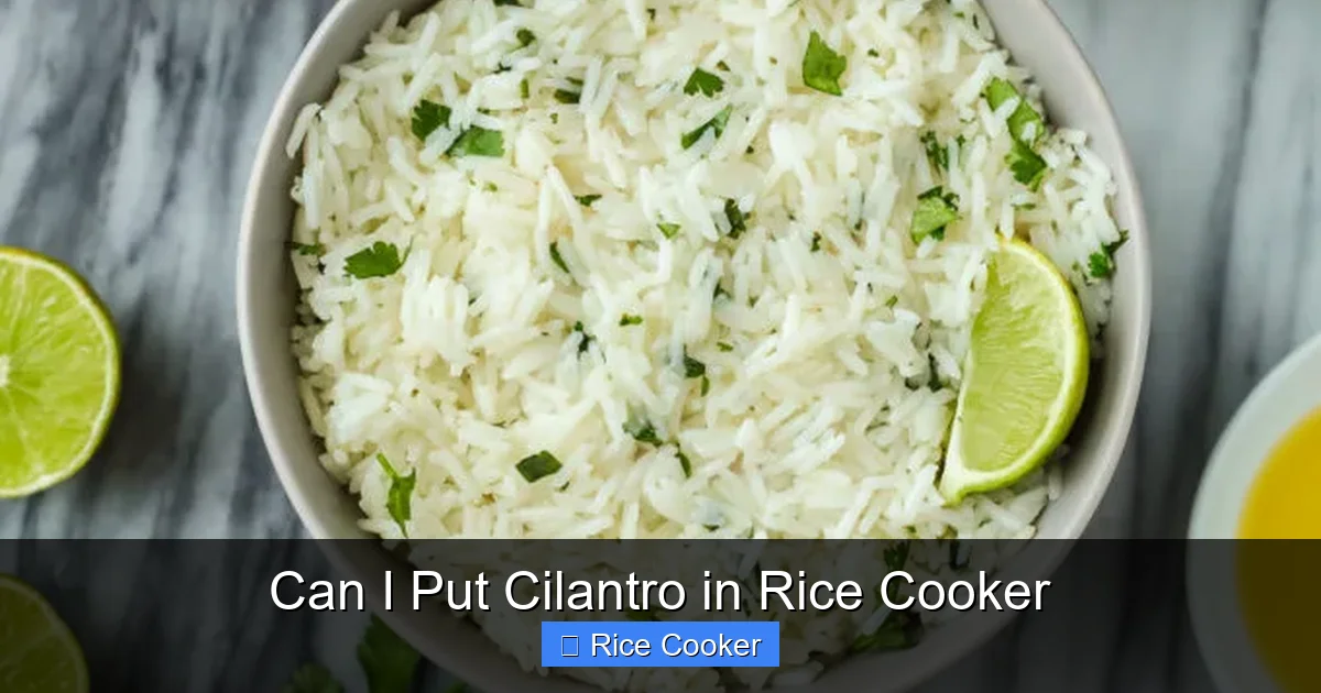 Can I Put Cilantro in Rice Cooker