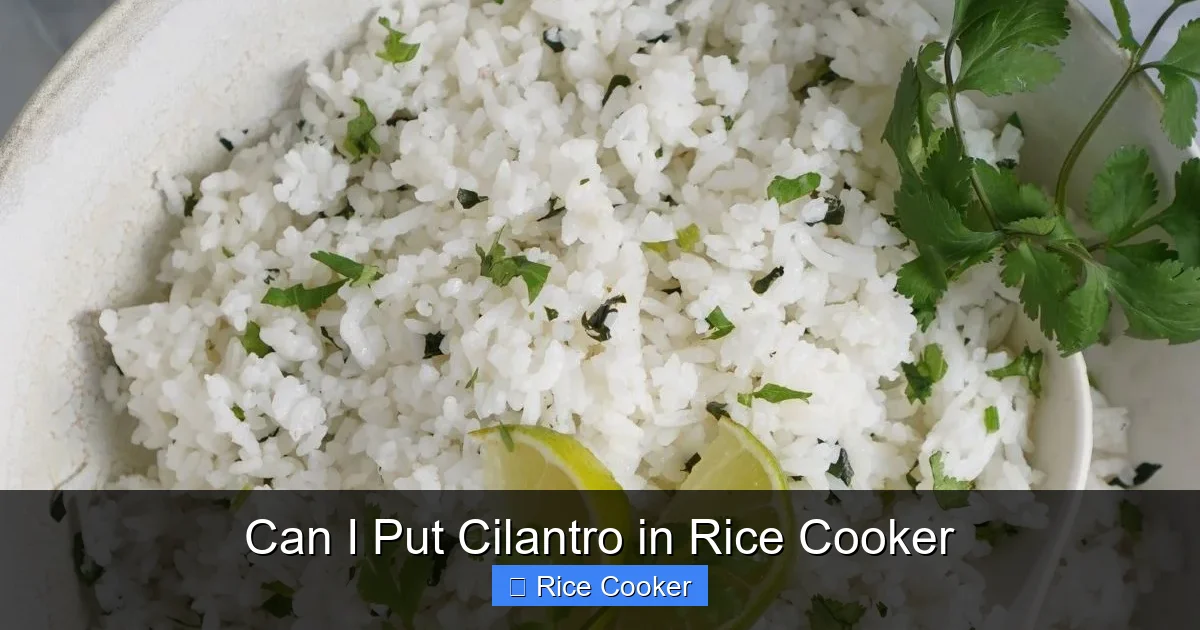 Can I Put Cilantro in Rice Cooker
