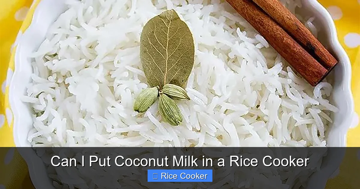 Can I Put Coconut Milk in a Rice Cooker