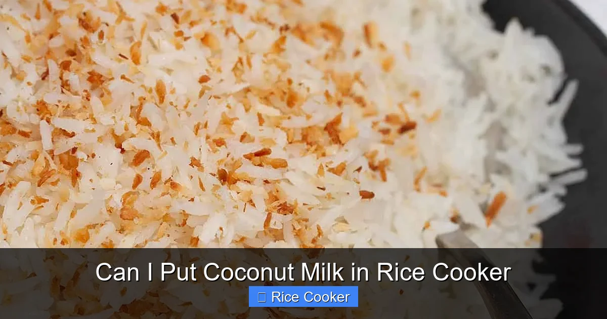 Can I Put Coconut Milk in Rice Cooker