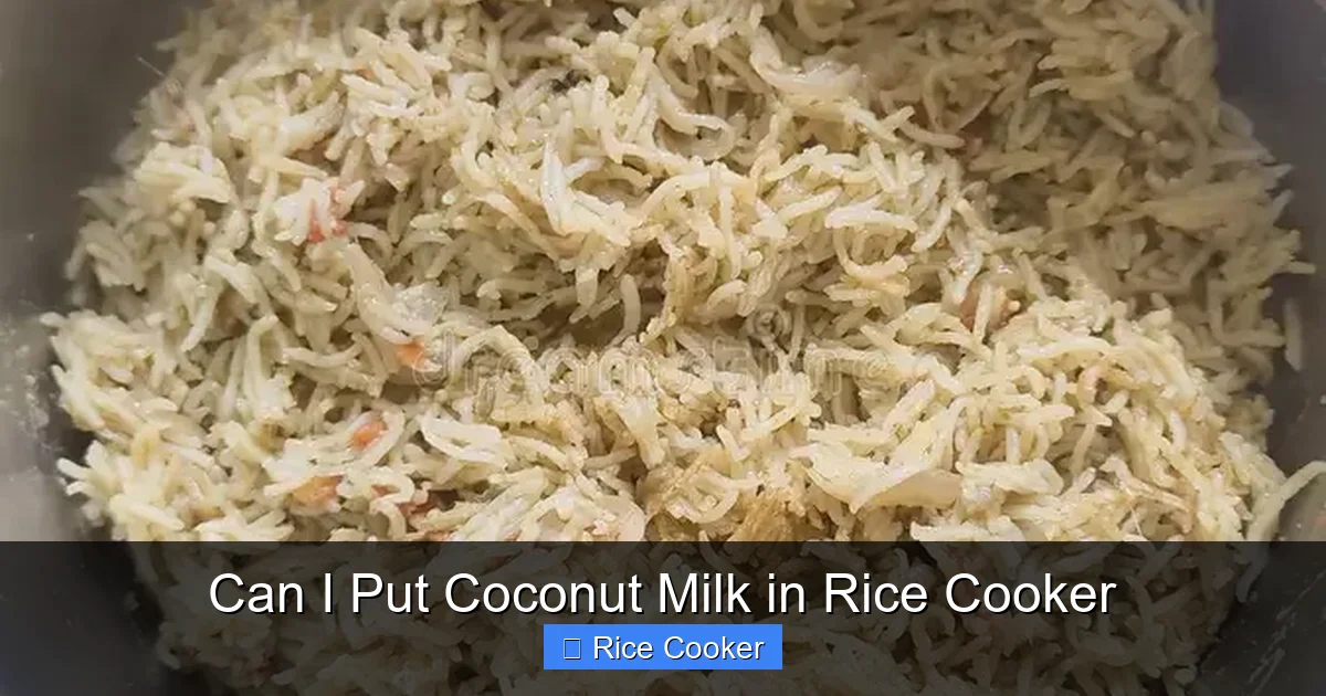 Can I Put Coconut Milk in Rice Cooker