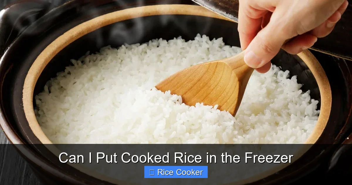 Can I Put Cooked Rice in the Freezer