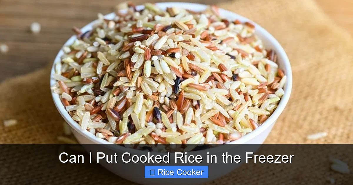 Can I Put Cooked Rice in the Freezer