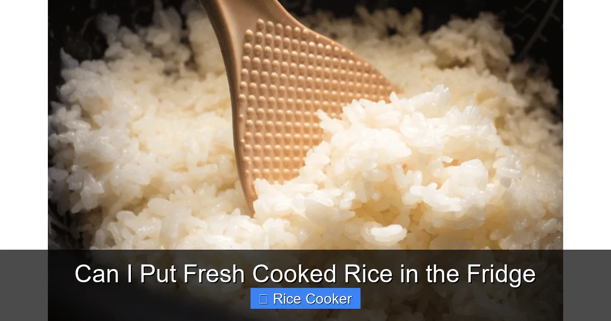 Can I Put Fresh Cooked Rice in the Fridge