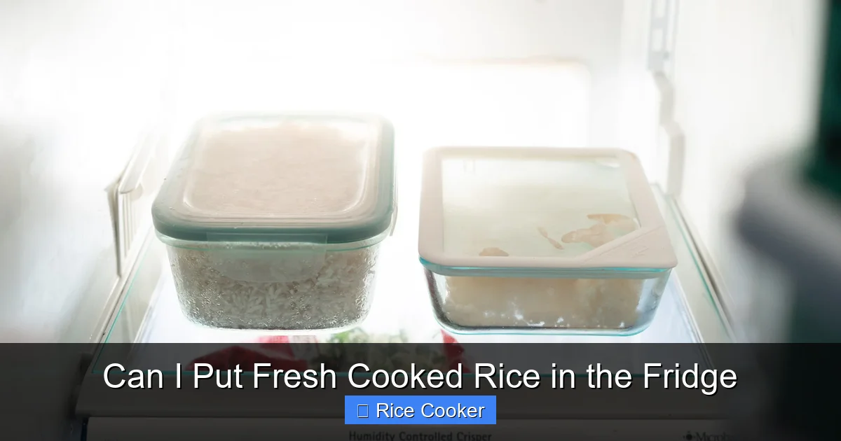 Can I Put Fresh Cooked Rice in the Fridge