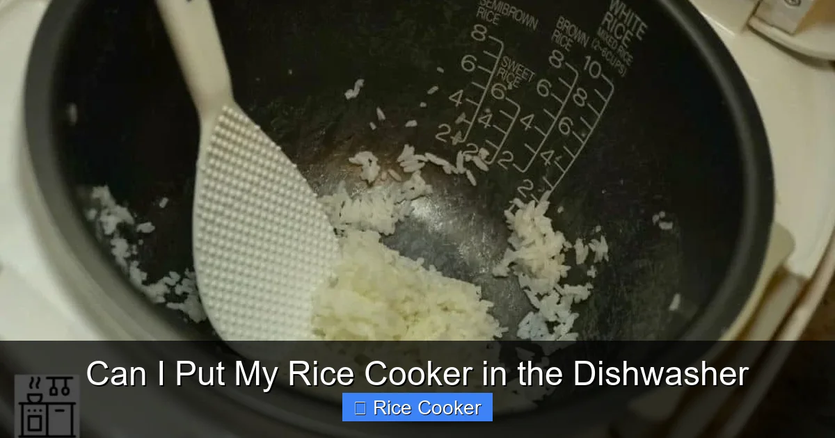 Can I Put My Rice Cooker in the Dishwasher