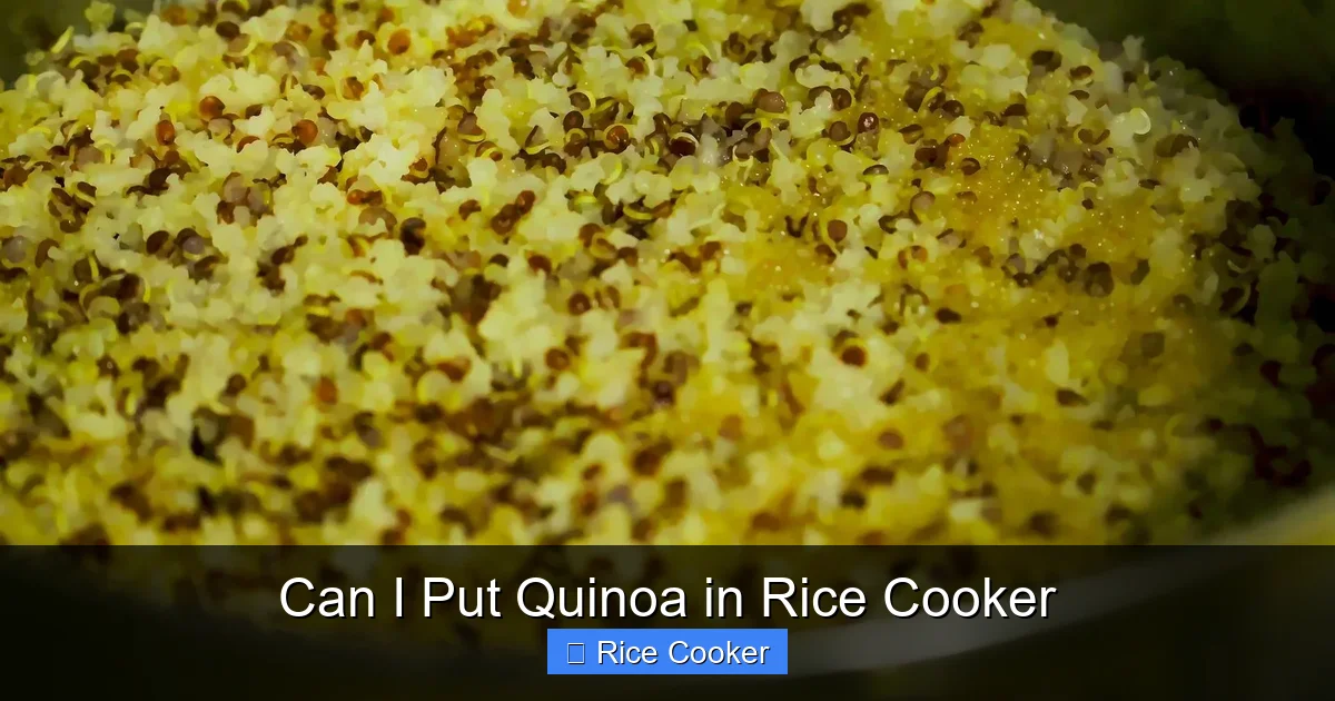 Can I Put Quinoa in Rice Cooker