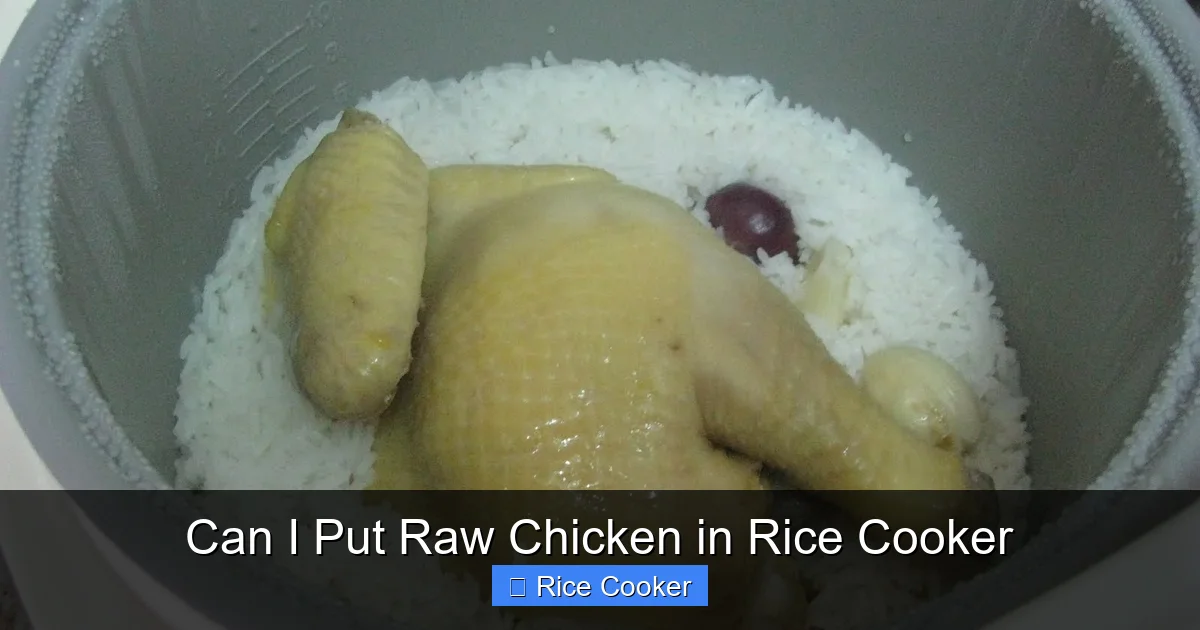 Can I Put Raw Chicken in Rice Cooker