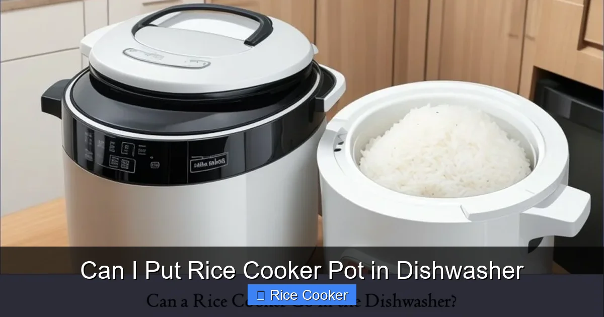 Can I Put Rice Cooker Pot in Dishwasher