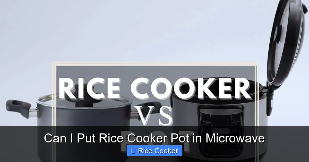 Can I Put Rice Cooker Pot in Microwave