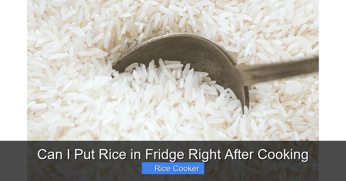 Can I Put Rice in Fridge Right After Cooking