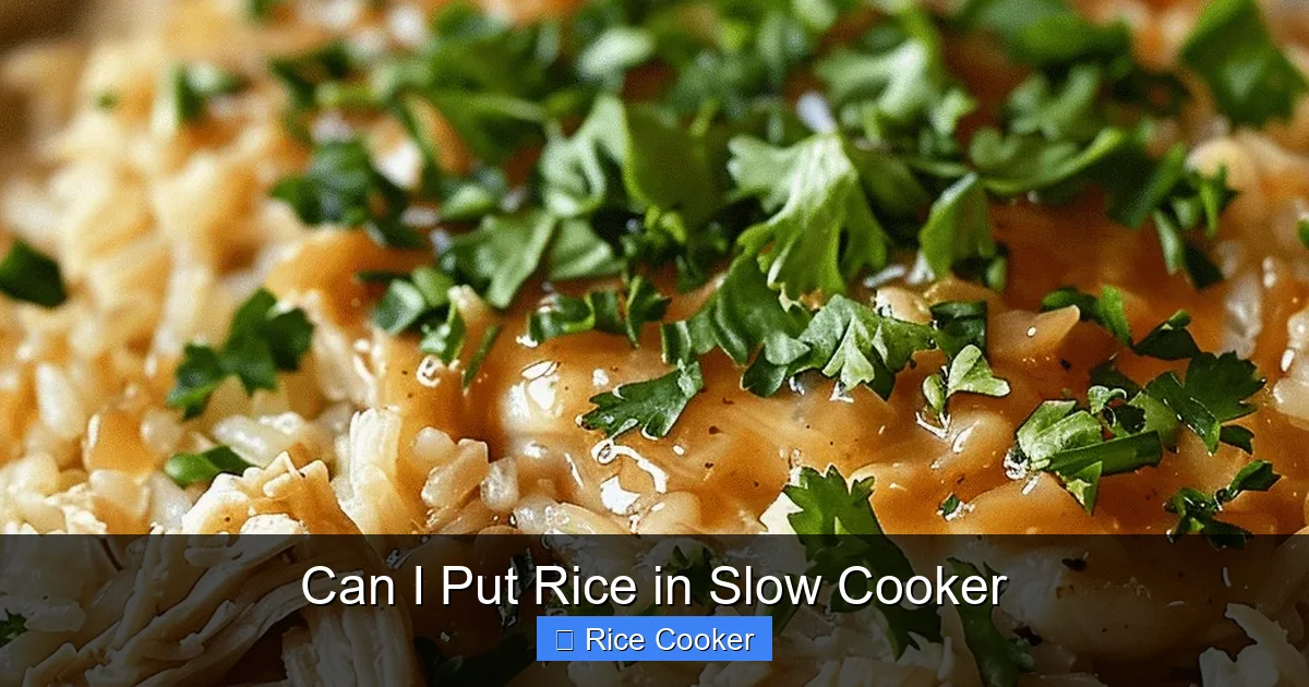Can I Put Rice in Slow Cooker