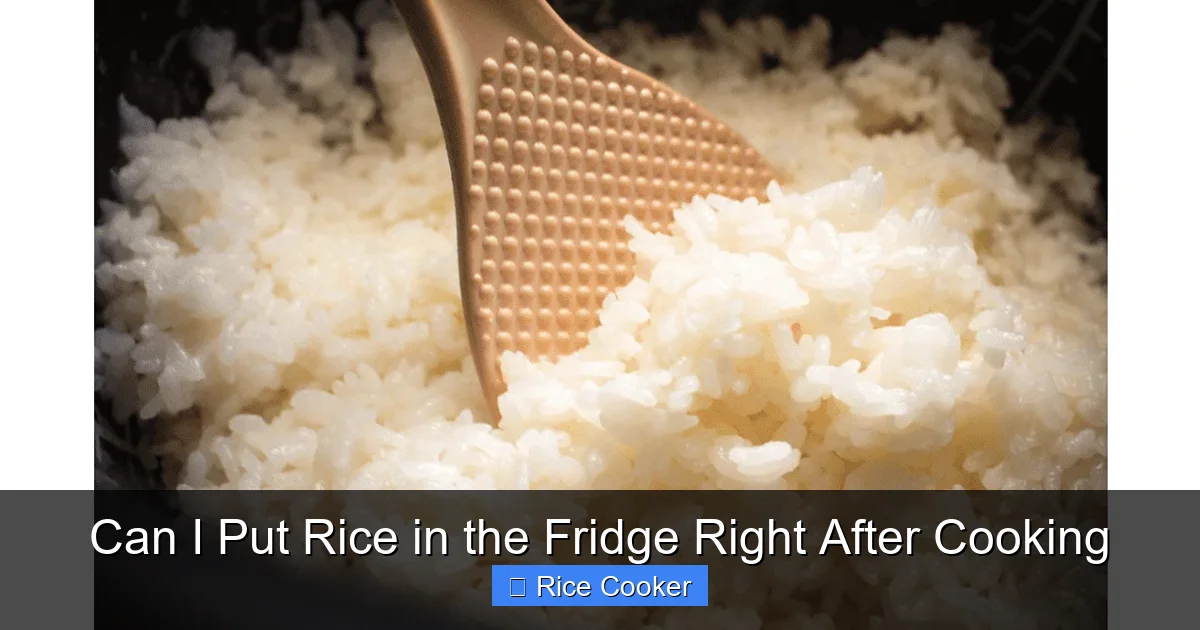 Can I Put Rice in the Fridge Right After Cooking