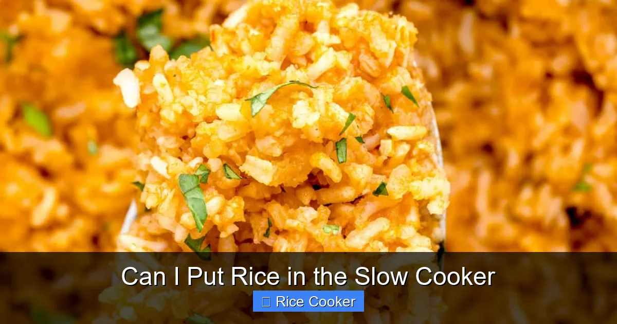 Can I Put Rice in the Slow Cooker