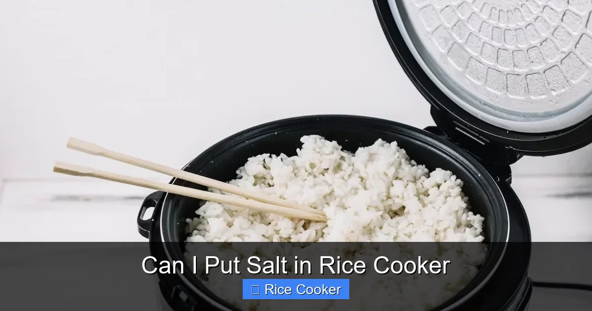 Can I Put Salt in Rice Cooker