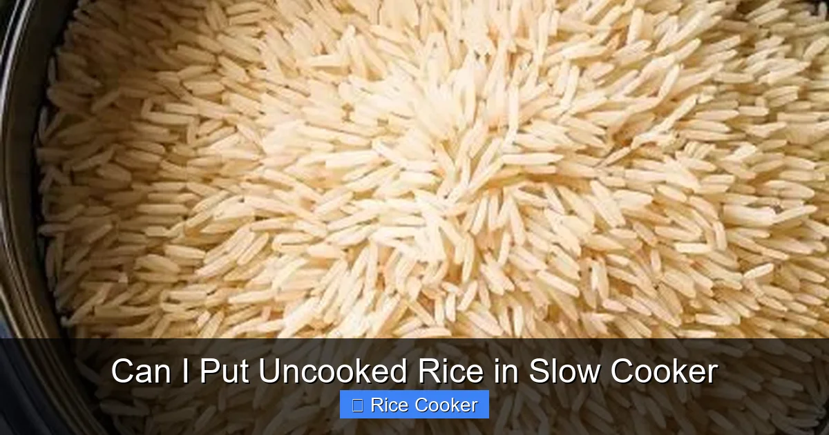 Can I Put Uncooked Rice in Slow Cooker
