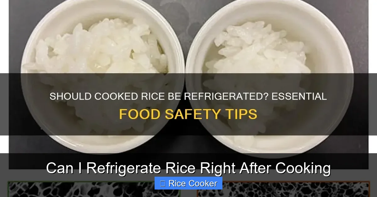 Can I Refrigerate Rice Right After Cooking