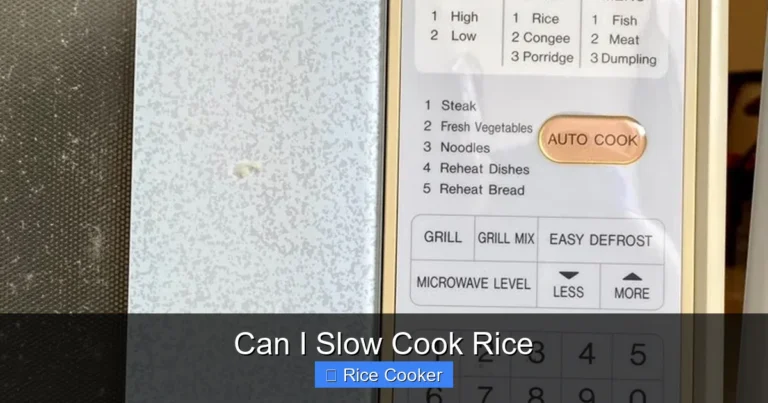 Can I Slow Cook Rice