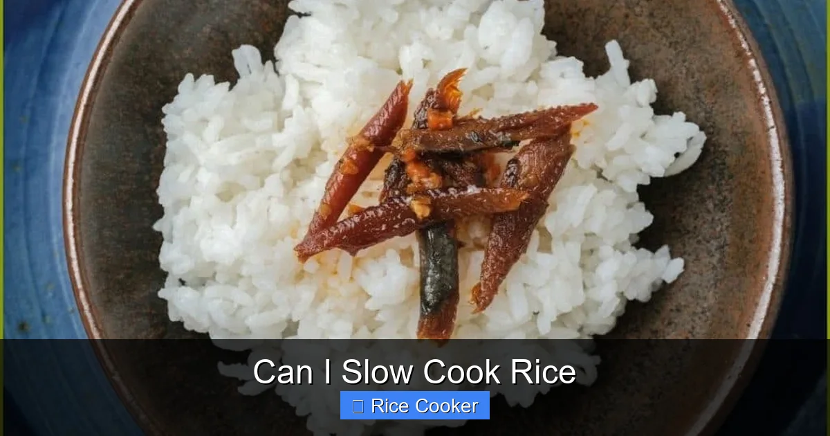 Can I Slow Cook Rice