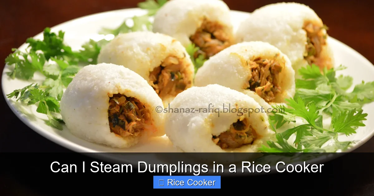 Can I Steam Dumplings in a Rice Cooker