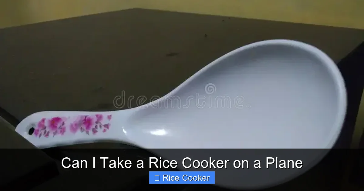 Can I Take a Rice Cooker on a Plane