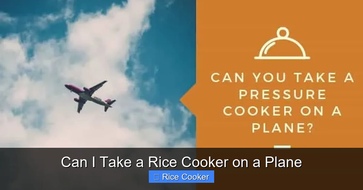 Can I Take a Rice Cooker on a Plane