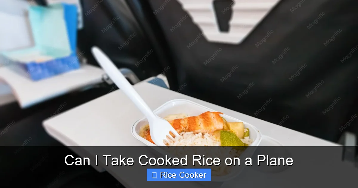 Can I Take Cooked Rice on a Plane