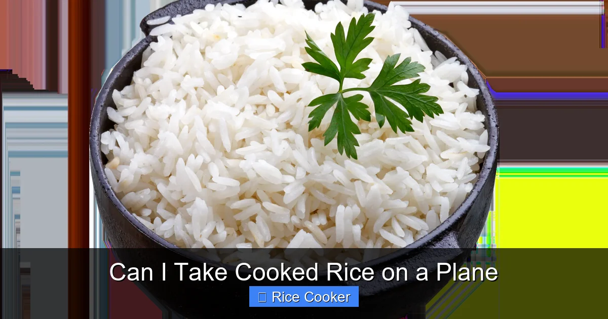 Can I Take Cooked Rice on a Plane