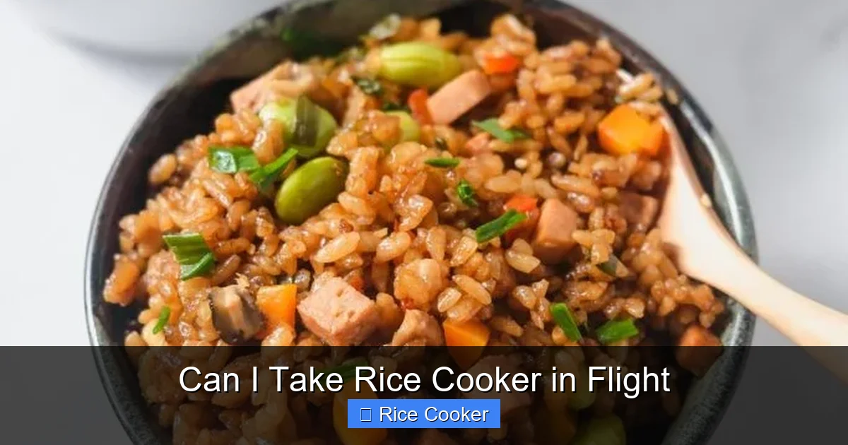 Can I Take Rice Cooker in Flight