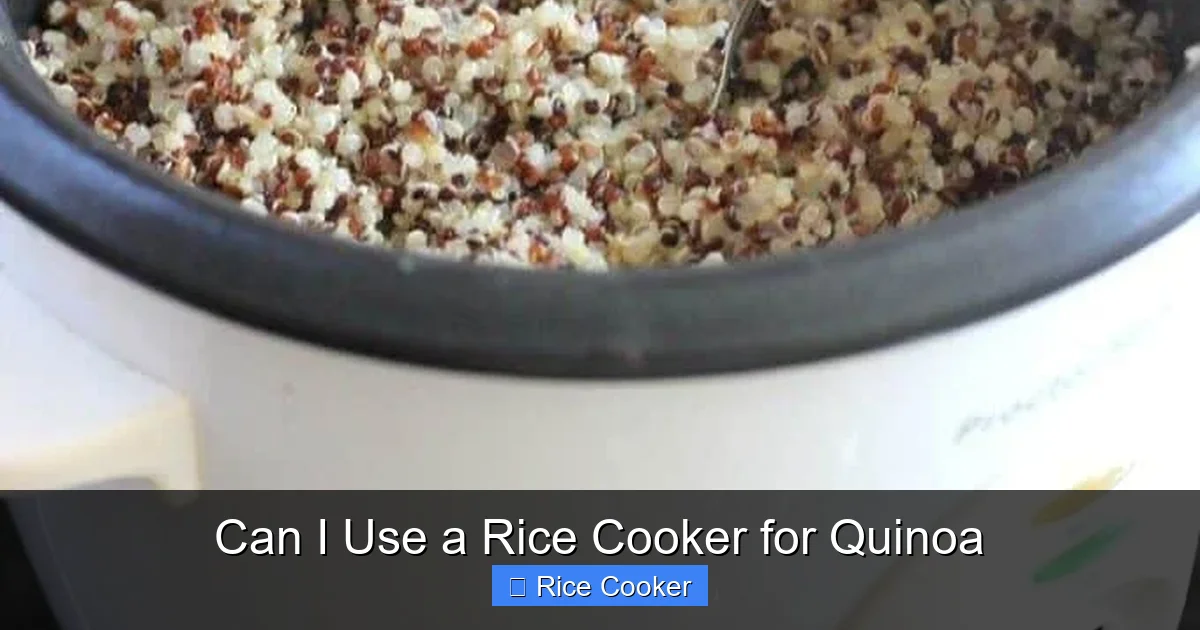 Can I Use a Rice Cooker for Quinoa