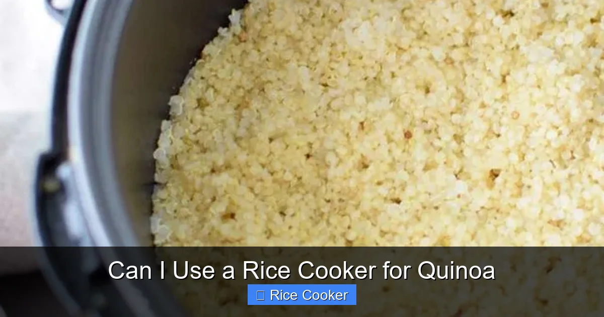 Can I Use a Rice Cooker for Quinoa