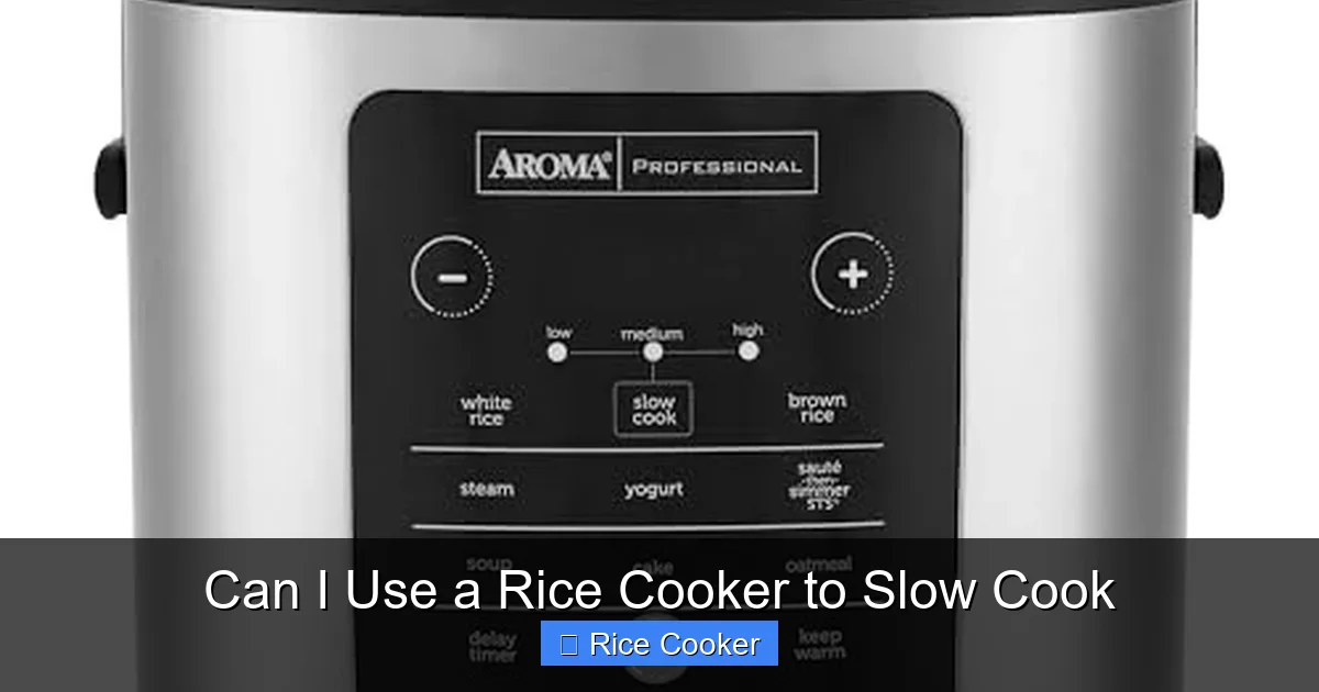 Can I Use a Rice Cooker to Slow Cook
