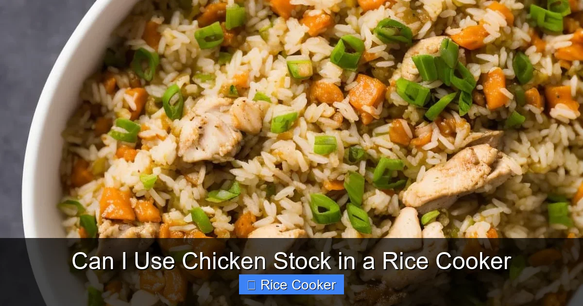 Can I Use Chicken Stock in a Rice Cooker