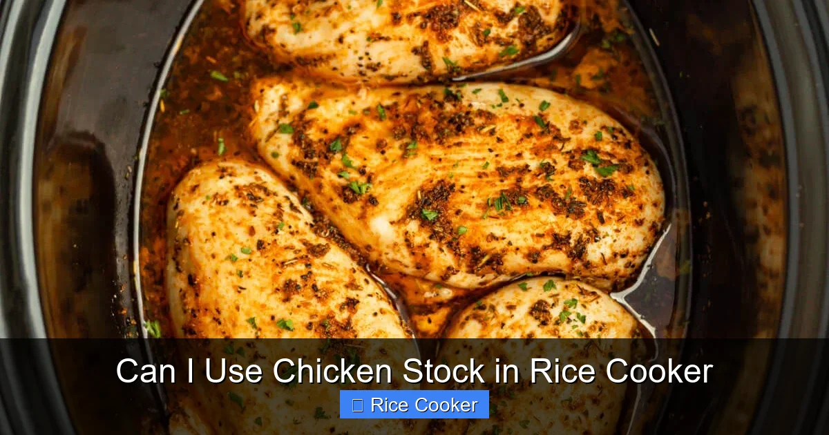 Can I Use Chicken Stock in Rice Cooker